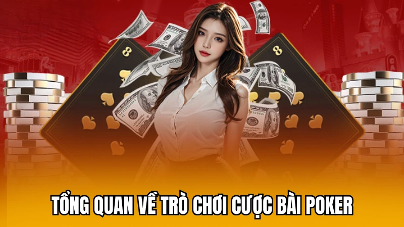 Tổng quan về trò chơi cược bài poker