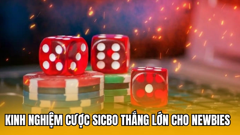 Kinh nghiệm cược Sicbo thắng lớn cho newbies