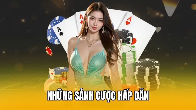 Những sảnh cược hấp dẫn