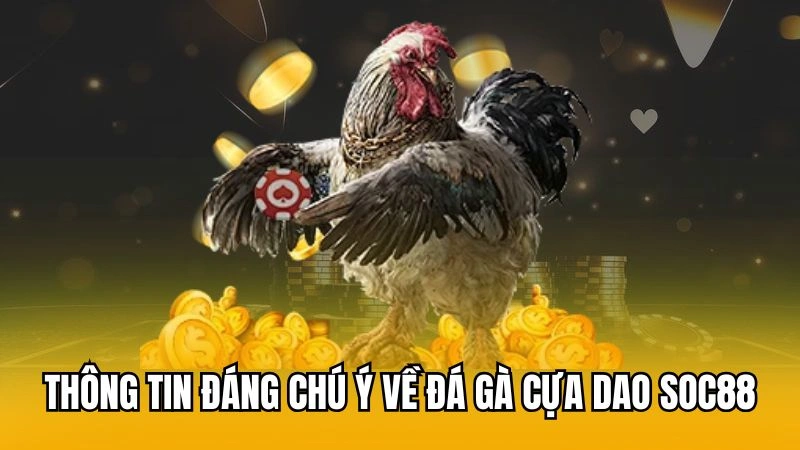 Thông tin đáng chú ý về đá gà cựa dao Soc88