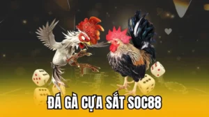 đá gà cựa sắt