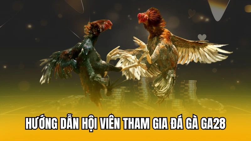 Hướng dẫn hội viên tham gia đá gà GA28