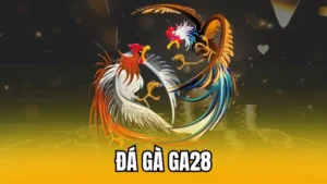 đá gà GA28