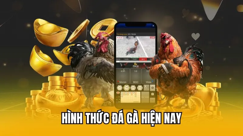 Hình thức đá gà hiện nay