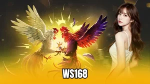 ws168